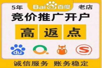 SEM托管代运营案例解析：ROI大幅提升的秘诀